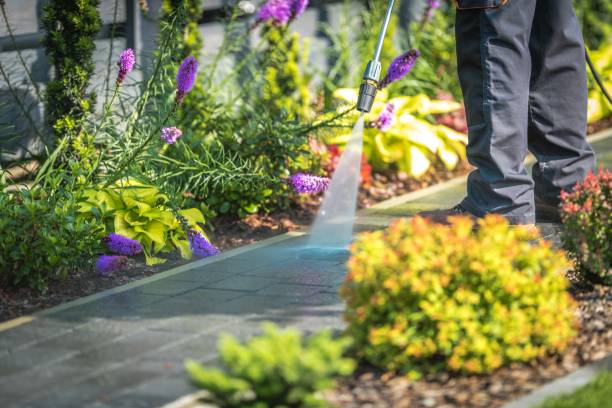 Best Winterizing Services  in Le Mars, IA